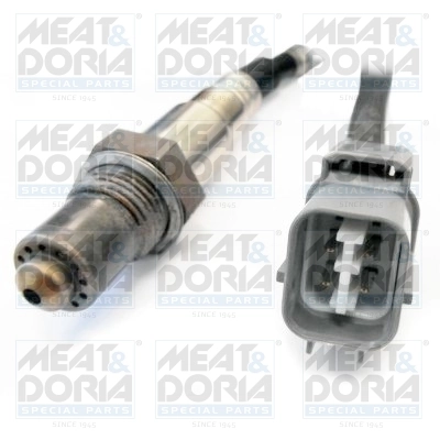 Oxygen Sensor